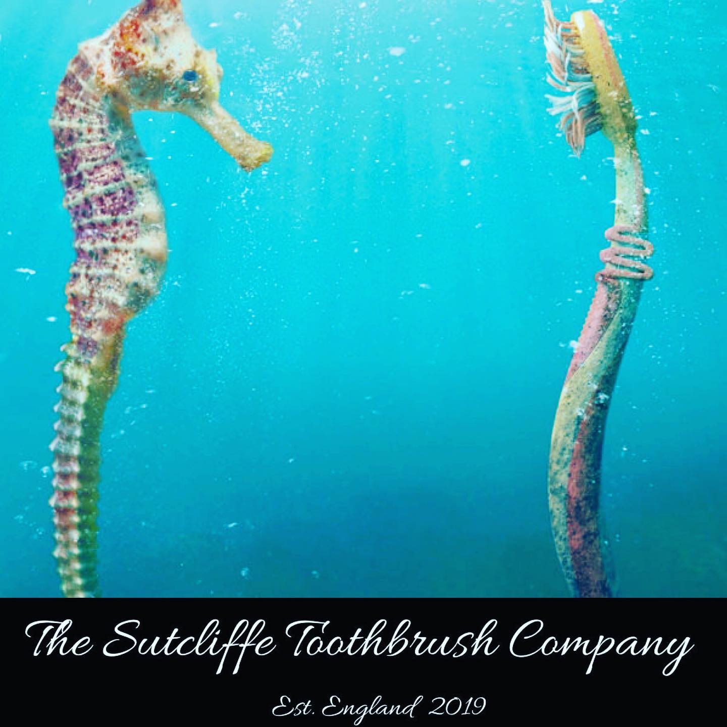 Environmentally Friendly Dental Care