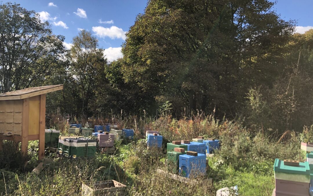 Happy Valley Honey