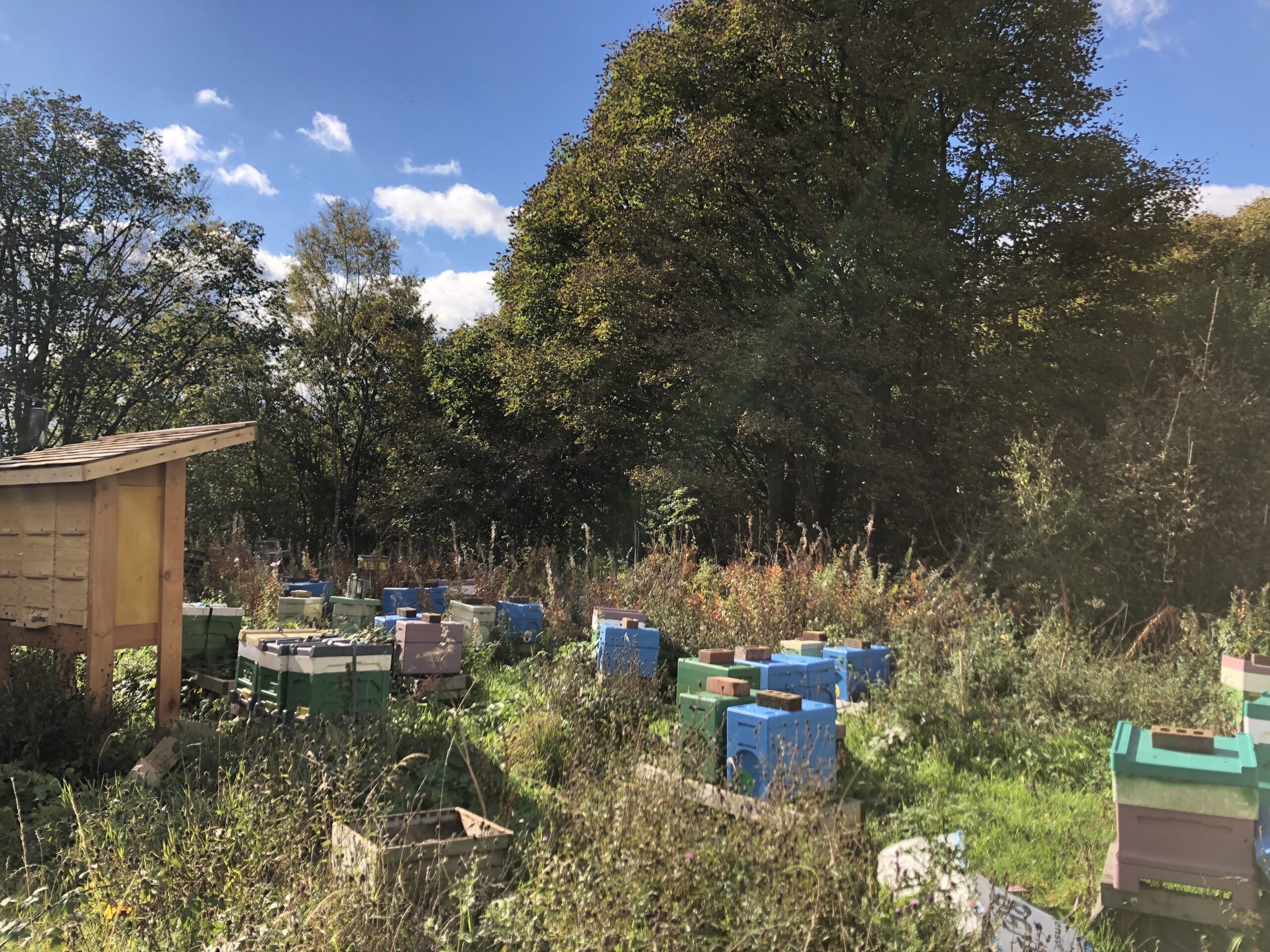 Happy Valley Honey
