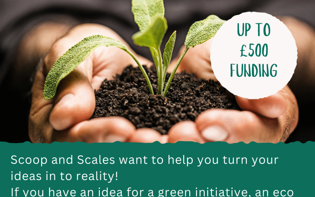 Scoop and Scales Eco Competition launches